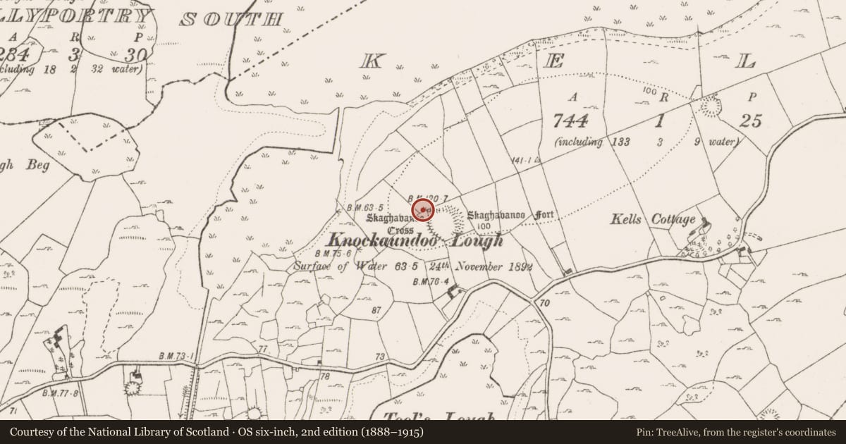 Ordnance Survey six-inch map, 2nd edition (1888–1915) covering the location of Cross - High cross, Kells, County Clare, with a pin at the register's coordinates