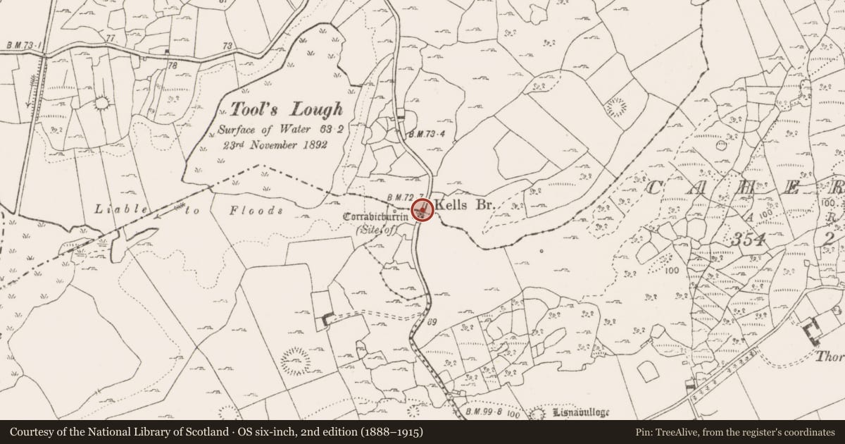 Ordnance Survey six-inch map, 2nd edition (1888–1915) covering the location of Bridge, Caherlough, Kells, County Clare, with a pin at the register's coordinates