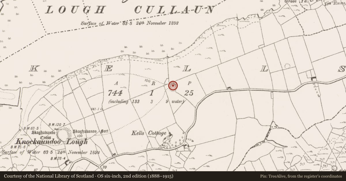 Ordnance Survey six-inch map, 2nd edition (1888–1915) covering the location of Ringfort - rath, Kells, County Clare, with a pin at the register's coordinates