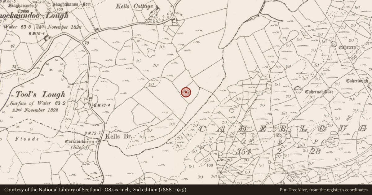 Ordnance Survey six-inch map, 2nd edition (1888–1915) covering the location of Ringfort - rath, Kells, County Clare, with a pin at the register's coordinates