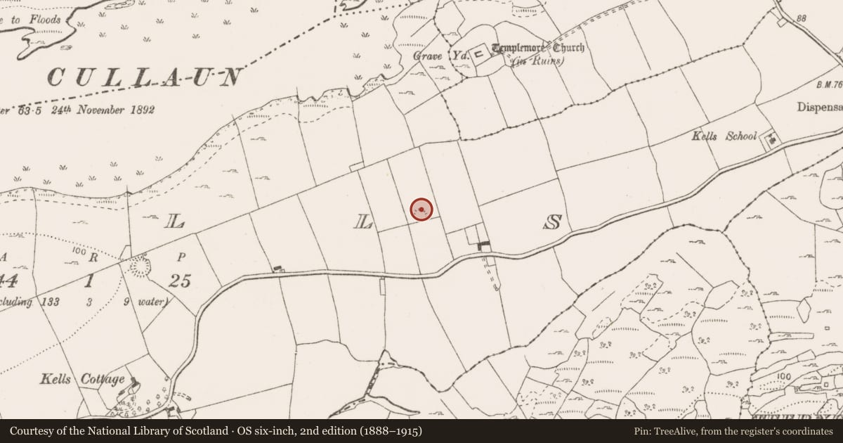 Ordnance Survey six-inch map, 2nd edition (1888–1915) covering the location of Ringfort - rath, Kells, County Clare, with a pin at the register's coordinates