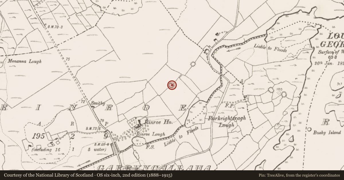 Ordnance Survey six-inch map, 2nd edition (1888–1915) covering the location of Ringfort - cashel, Rinroe, County Clare, with a pin at the register's coordinates