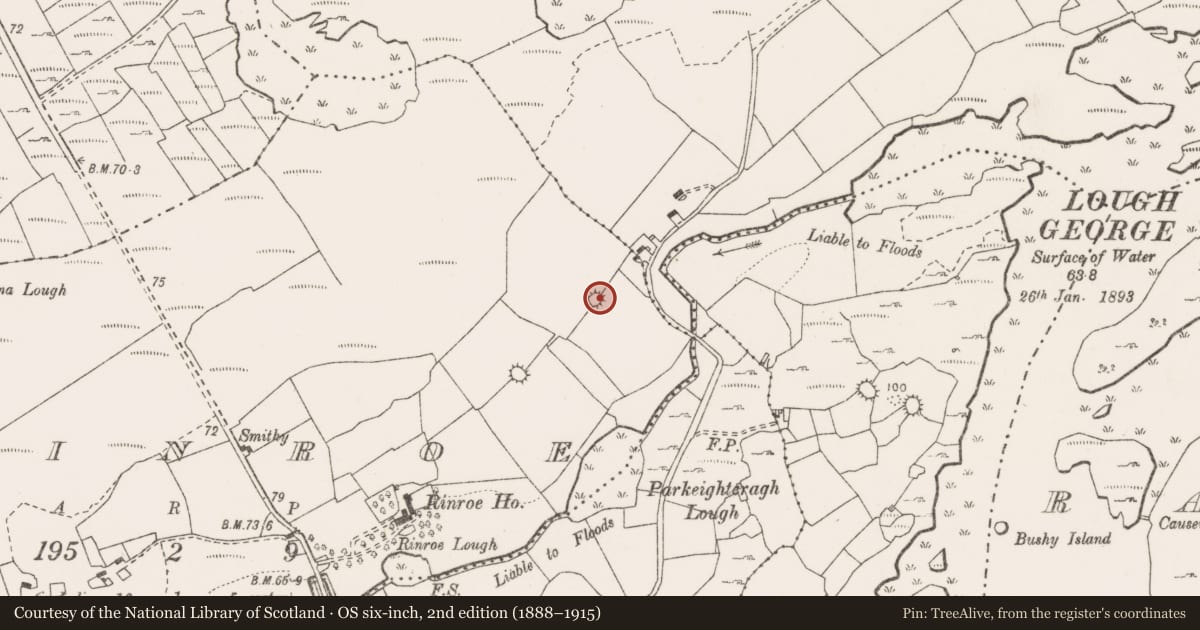Ordnance Survey six-inch map, 2nd edition (1888–1915) covering the location of Ringfort - cashel, Rinroe, County Clare, with a pin at the register's coordinates