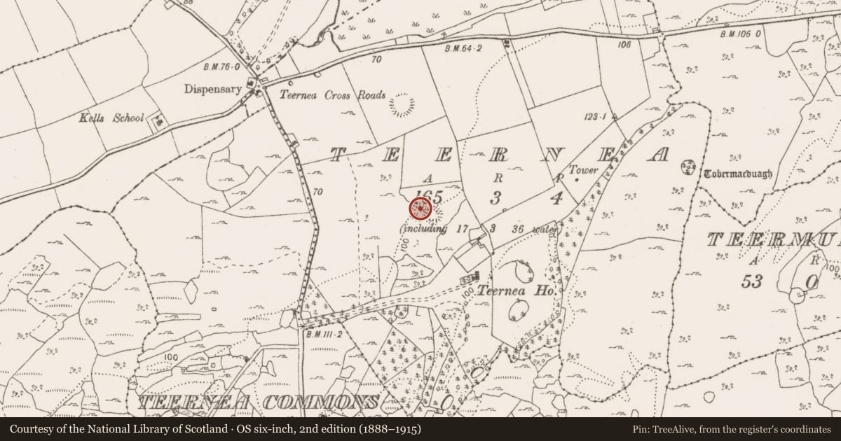 Ordnance Survey six-inch map, 2nd edition (1888–1915) covering the location of Ringfort - cashel, Teernea, County Clare, with a pin at the register's coordinates