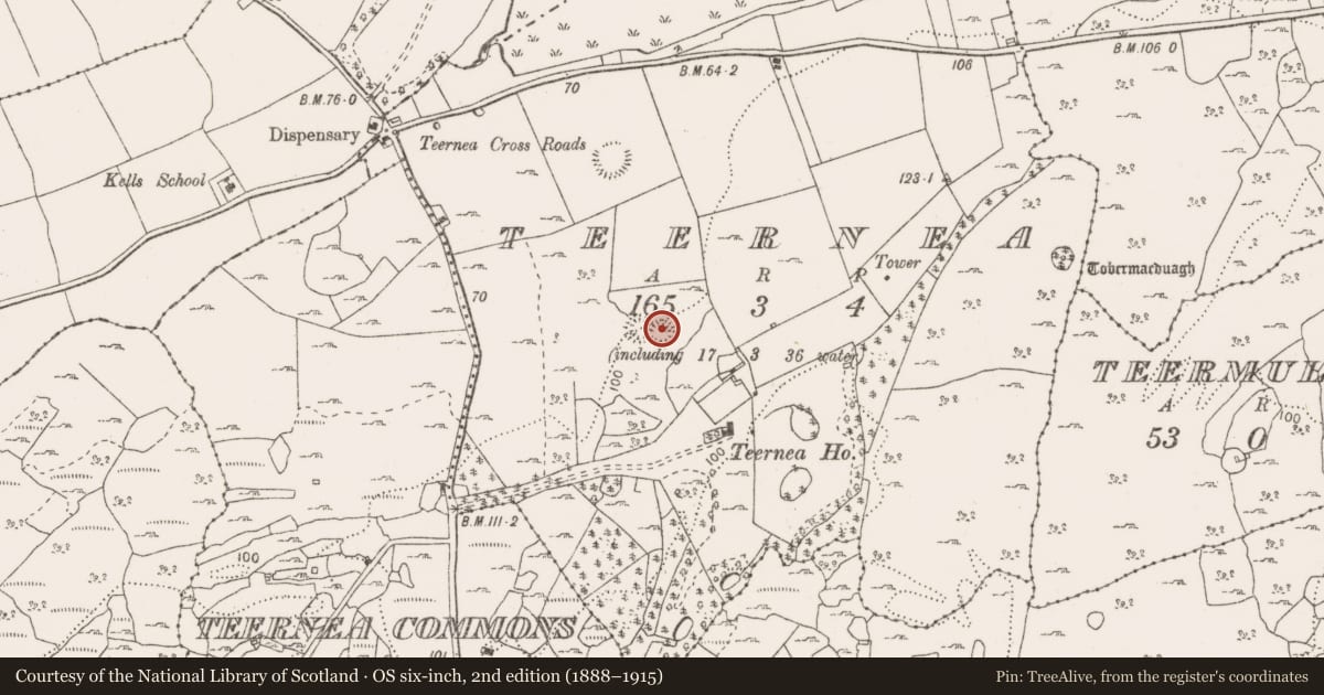 Ordnance Survey six-inch map, 2nd edition (1888–1915) covering the location of Ringfort - cashel, Teernea, County Clare, with a pin at the register's coordinates