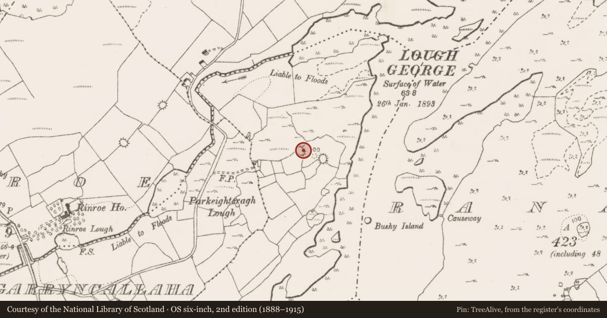 Ordnance Survey six-inch map, 2nd edition (1888–1915) covering the location of Ringfort - cashel, Kells, County Clare, with a pin at the register's coordinates
