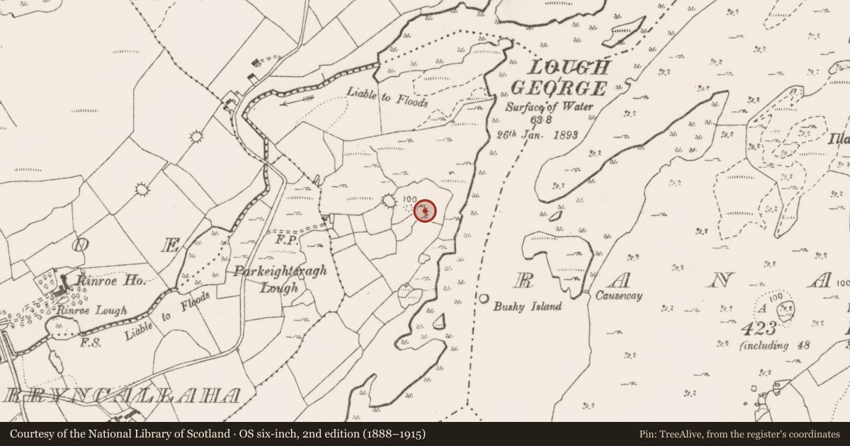 Ordnance Survey six-inch map, 2nd edition (1888–1915) covering the location of Enclosure, Kells, County Clare, with a pin at the register's coordinates