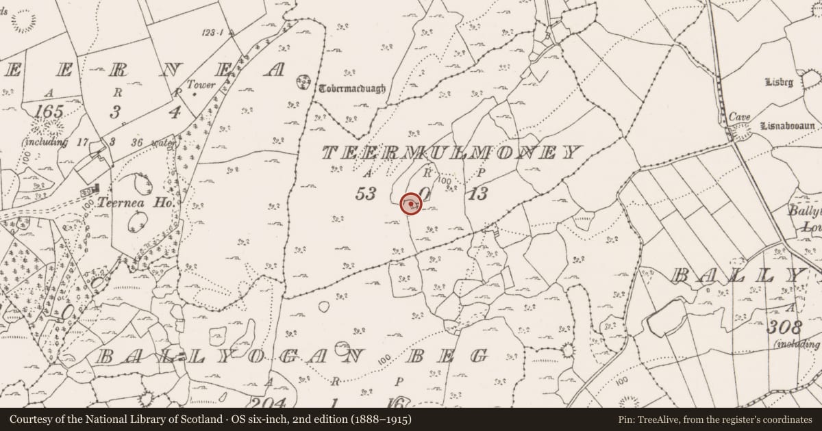 Ordnance Survey six-inch map, 2nd edition (1888–1915) covering the location of Ringfort - cashel, Teermulmoney, County Clare, with a pin at the register's coordinates