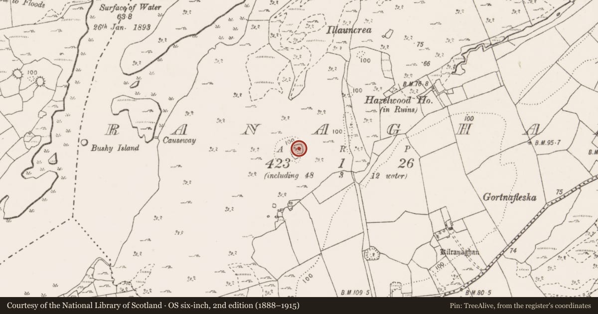 Ordnance Survey six-inch map, 2nd edition (1888–1915) covering the location of Ringfort - cashel, Ranaghan, County Clare, with a pin at the register's coordinates