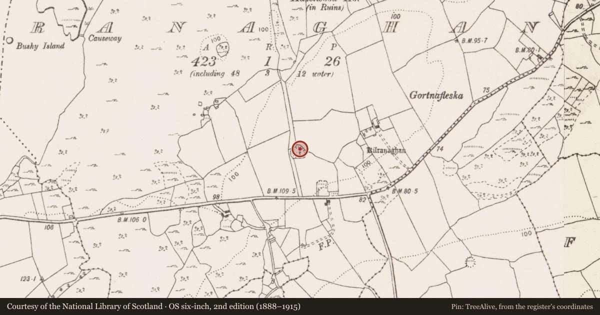 Ordnance Survey six-inch map, 2nd edition (1888–1915) covering the location of Ringfort - rath, Ranaghan, County Clare, with a pin at the register's coordinates