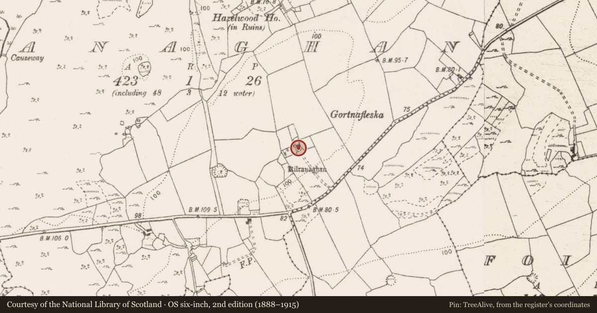 Ordnance Survey six-inch map, 2nd edition (1888–1915) covering the location of Bullaun stone, Ranaghan, County Clare, with a pin at the register's coordinates