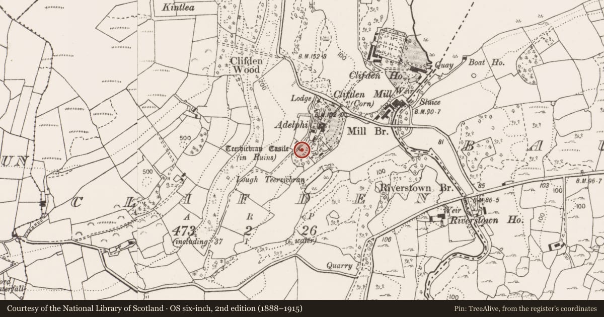 Ordnance Survey six-inch map, 2nd edition (1888–1915) covering the location of Castle - tower house, Clifden, County Clare, with a pin at the register's coordinates