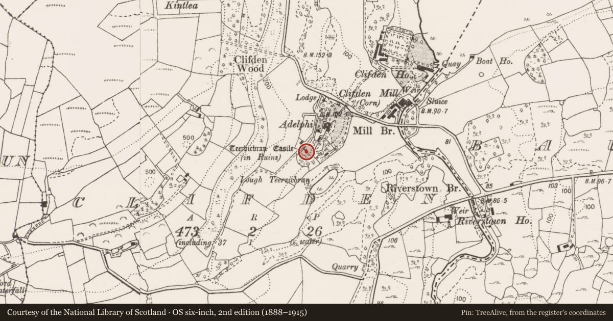 Ordnance Survey six-inch map, 2nd edition (1888–1915) covering the location of Bawn, Clifden, County Clare, with a pin at the register's coordinates