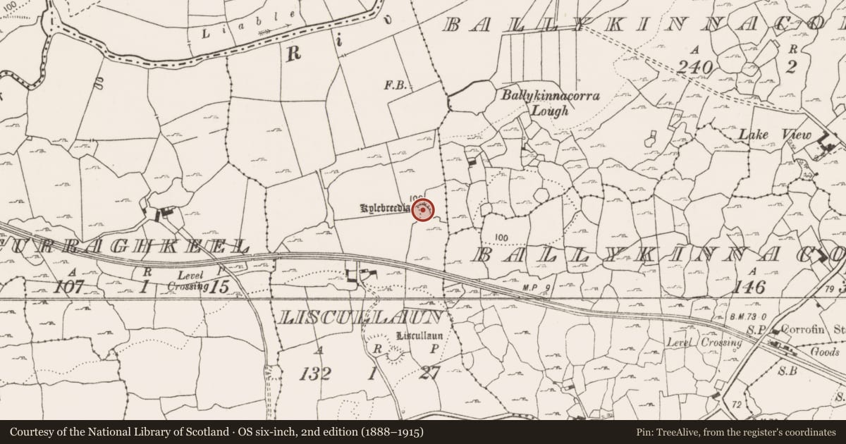 Ordnance Survey six-inch map, 2nd edition (1888–1915) covering the location of Enclosure, Liscullaun, County Clare, with a pin at the register's coordinates