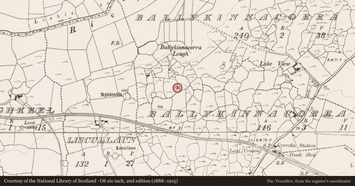 Ordnance Survey six-inch map, 2nd edition (1888–1915) covering the location of Enclosure, Ballykinnacorra North, Ballykinnacorra South, County Clare, with a pin at the register's coordinates