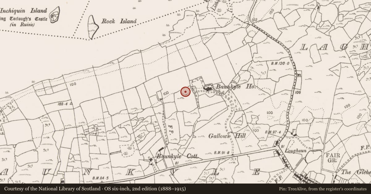 Ordnance Survey six-inch map, 2nd edition (1888–1915) covering the location of Enclosure, Baunkyle, County Clare, with a pin at the register's coordinates
