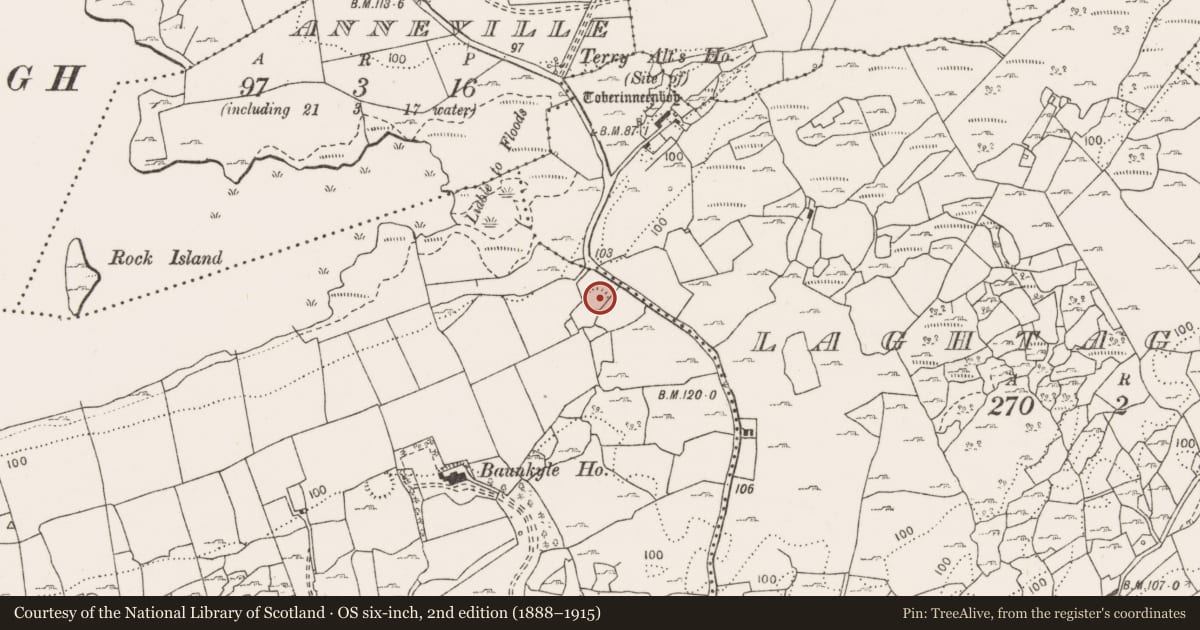 Ordnance Survey six-inch map, 2nd edition (1888–1915) covering the location of Enclosure, Baunkyle, County Clare, with a pin at the register's coordinates
