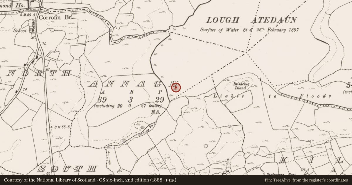 Ordnance Survey six-inch map, 2nd edition (1888–1915) covering the location of Crannog, Annagh, County Clare, with a pin at the register's coordinates