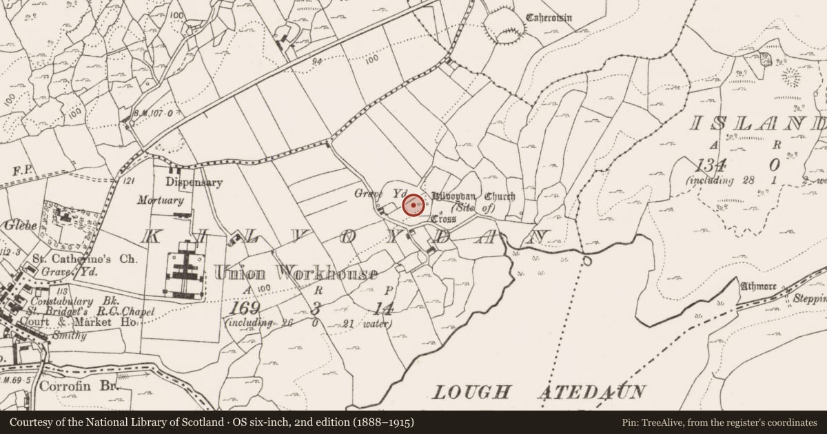 Ordnance Survey six-inch map, 2nd edition (1888–1915) covering the location of Stone sculpture, Kilvoydan, County Clare, with a pin at the register's coordinates