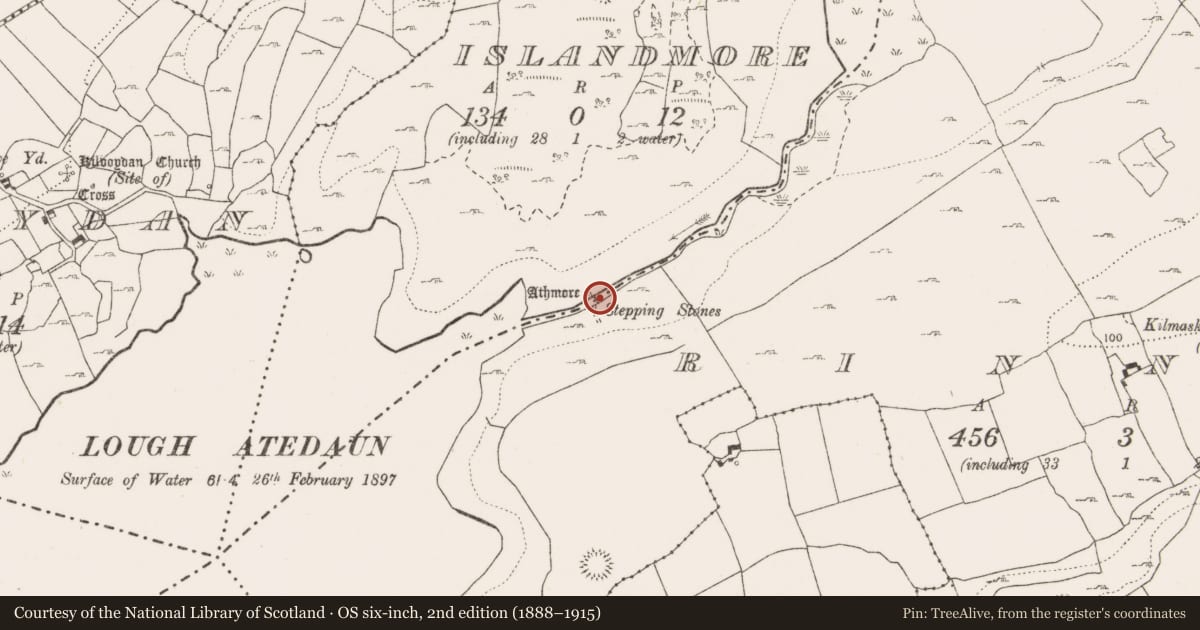 Ordnance Survey six-inch map, 2nd edition (1888–1915) covering the location of Bridge, Islandmore, County Clare, with a pin at the register's coordinates