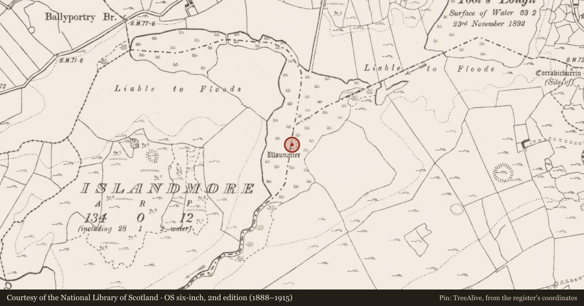 Ordnance Survey six-inch map, 2nd edition (1888–1915) covering the location of Crannog, Rinneen, Islandmore, County Clare, with a pin at the register's coordinates