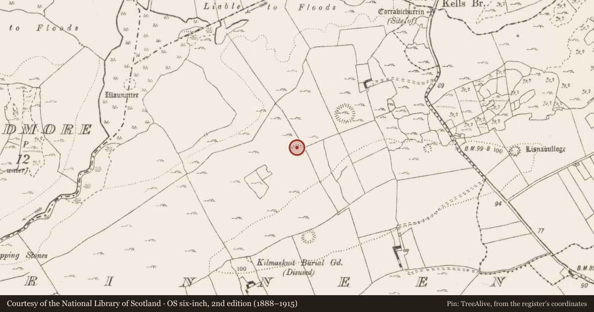 Ordnance Survey six-inch map, 2nd edition (1888–1915) covering the location of Ringfort - rath, Rinneen, County Clare, with a pin at the register's coordinates
