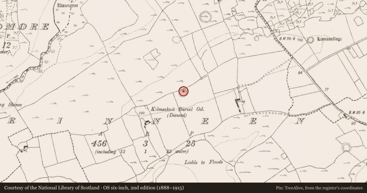 Ordnance Survey six-inch map, 2nd edition (1888–1915) covering the location of Ringfort - rath, Rinneen, County Clare, with a pin at the register's coordinates