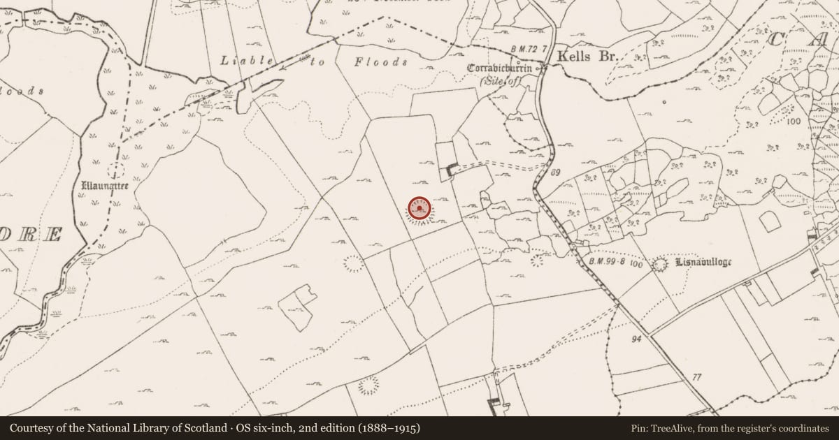Ordnance Survey six-inch map, 2nd edition (1888–1915) covering the location of Ringfort - rath, Rinneen, County Clare, with a pin at the register's coordinates