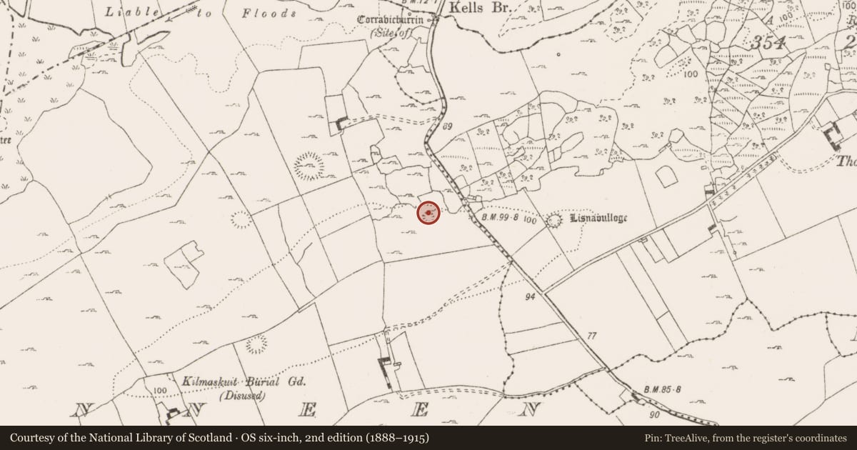 Ordnance Survey six-inch map, 2nd edition (1888–1915) covering the location of Ringfort - cashel, Rinneen, County Clare, with a pin at the register's coordinates