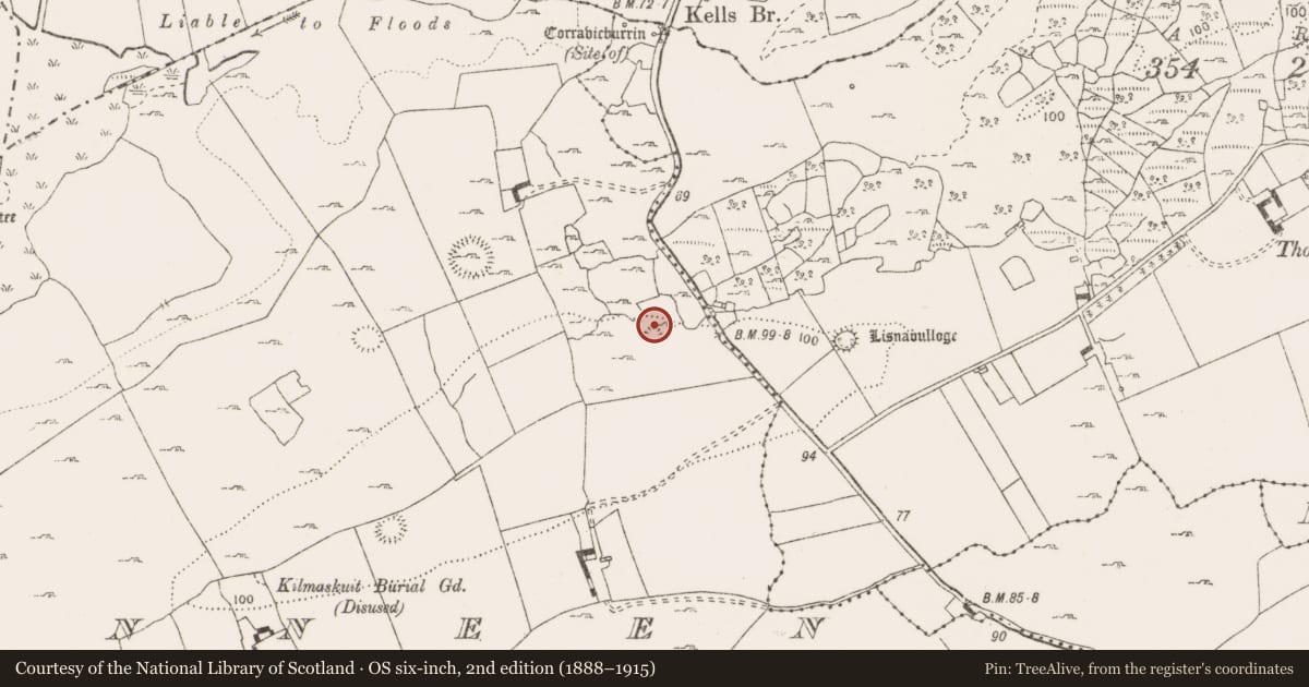 Ordnance Survey six-inch map, 2nd edition (1888–1915) covering the location of Souterrain, Rinneen, County Clare, with a pin at the register's coordinates