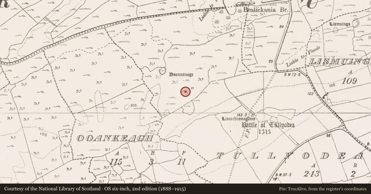 Ordnance Survey six-inch map, 2nd edition (1888–1915) covering the location of Ringfort - cashel, Tullyodea, County Clare, with a pin at the register's coordinates