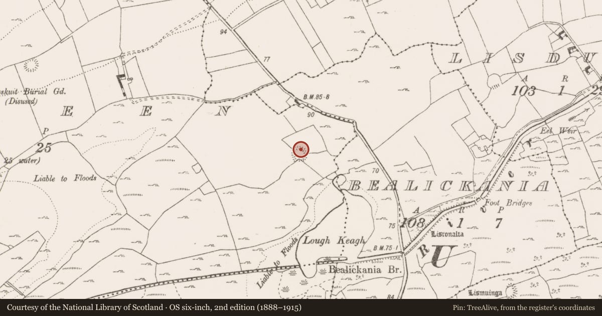 Ordnance Survey six-inch map, 2nd edition (1888–1915) covering the location of Ringfort - rath, Rinneen, County Clare, with a pin at the register's coordinates