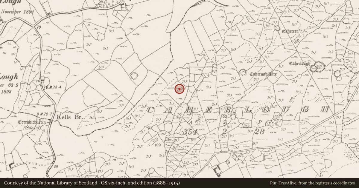 Ordnance Survey six-inch map, 2nd edition (1888–1915) covering the location of Enclosure, Caherlough, County Clare, with a pin at the register's coordinates