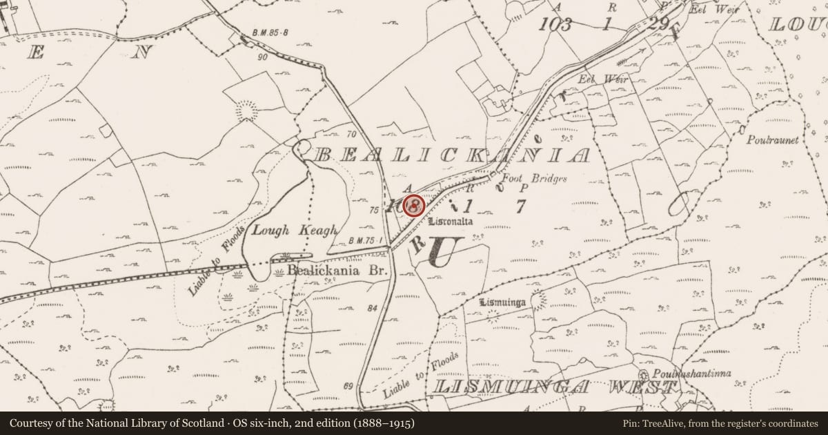 Ordnance Survey six-inch map, 2nd edition (1888–1915) covering the location of House - indeterminate date, Bealickania, County Clare, with a pin at the register's coordinates