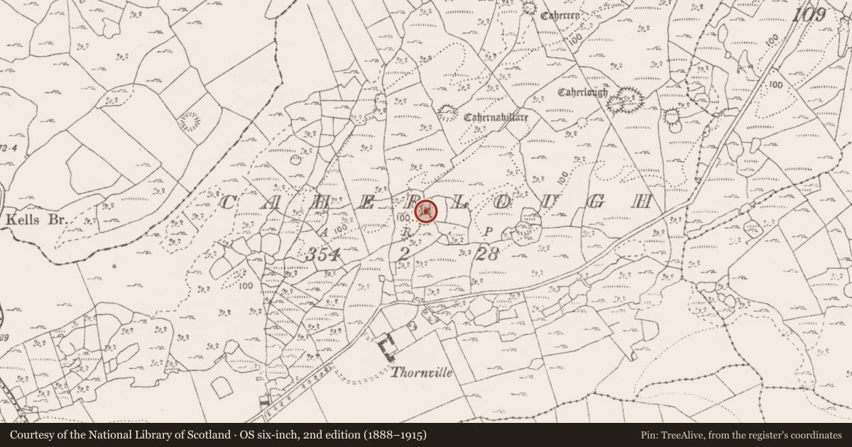 Ordnance Survey six-inch map, 2nd edition (1888–1915) covering the location of Ringfort - cashel, Caherlough, County Clare, with a pin at the register's coordinates