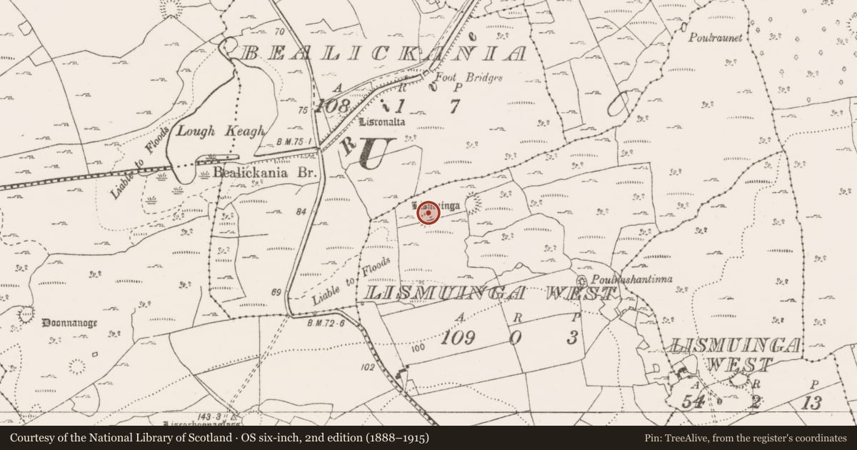 Ordnance Survey six-inch map, 2nd edition (1888–1915) covering the location of Ringfort - cashel, Lismuinga West, County Clare, with a pin at the register's coordinates