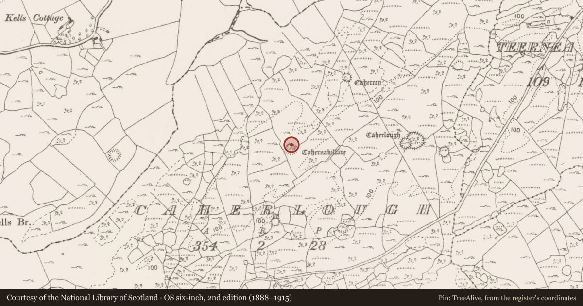 Ordnance Survey six-inch map, 2nd edition (1888–1915) covering the location of Ringfort - cashel, Caherlough, County Clare, with a pin at the register's coordinates