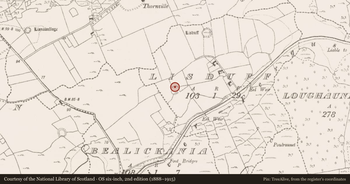 Ordnance Survey six-inch map, 2nd edition (1888–1915) covering the location of Ringfort - rath, Lisduff, County Clare, with a pin at the register's coordinates