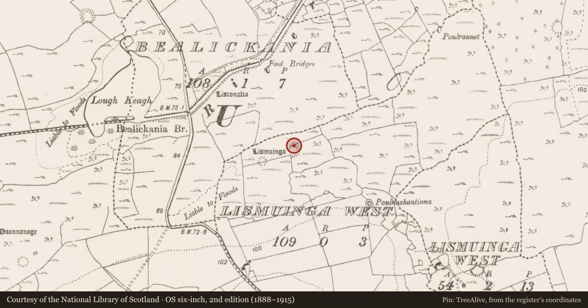 Ordnance Survey six-inch map, 2nd edition (1888–1915) covering the location of Ringfort - cashel, Lismuinga West, County Clare, with a pin at the register's coordinates