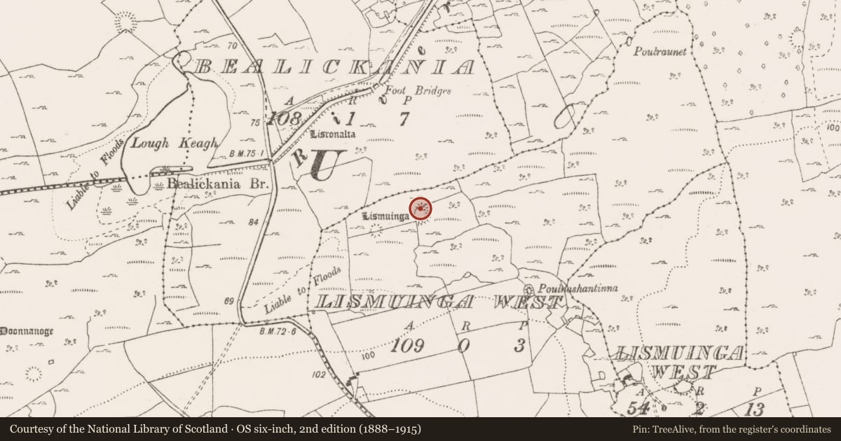 Ordnance Survey six-inch map, 2nd edition (1888–1915) covering the location of Hut site, Lismuinga West, County Clare, with a pin at the register's coordinates