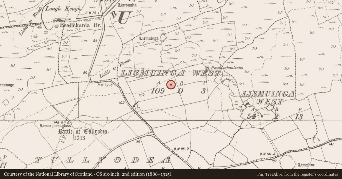 Ordnance Survey six-inch map, 2nd edition (1888–1915) covering the location of Enclosure, Lismuinga West, County Clare, with a pin at the register's coordinates