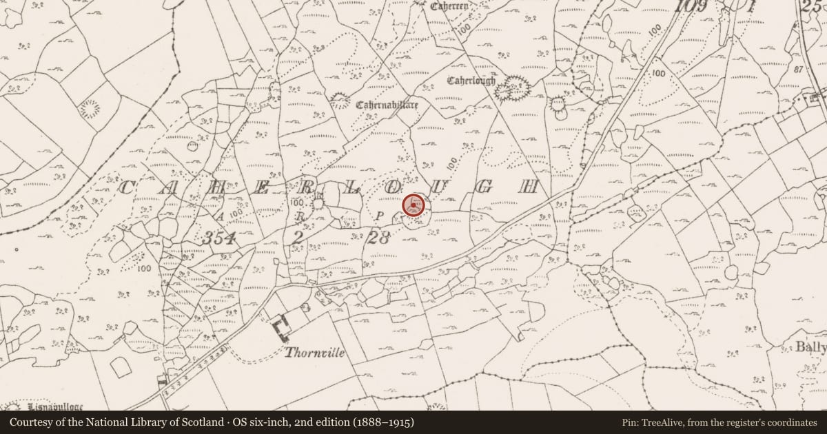 Ordnance Survey six-inch map, 2nd edition (1888–1915) covering the location of Ringfort - cashel, Caherlough, County Clare, with a pin at the register's coordinates