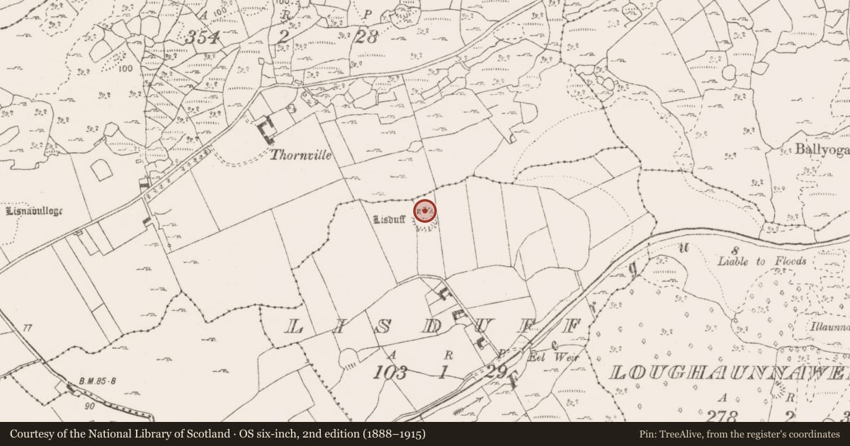 Ordnance Survey six-inch map, 2nd edition (1888–1915) covering the location of Ringfort - rath, Lisduff, County Clare, with a pin at the register's coordinates