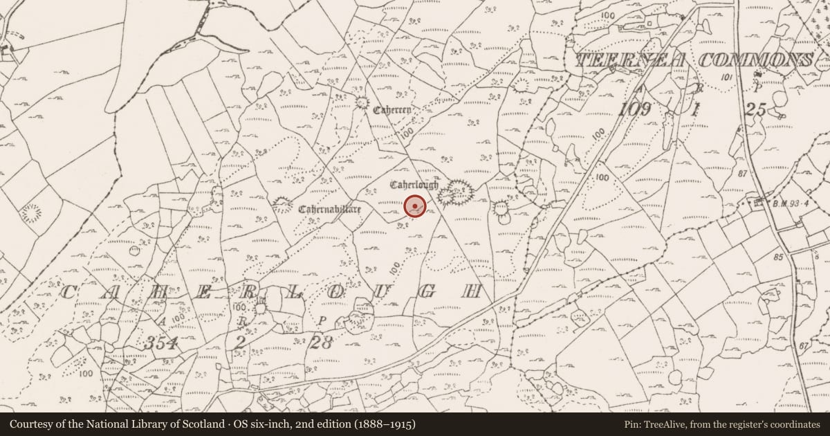 Ordnance Survey six-inch map, 2nd edition (1888–1915) covering the location of Enclosure, Caherlough, County Clare, with a pin at the register's coordinates