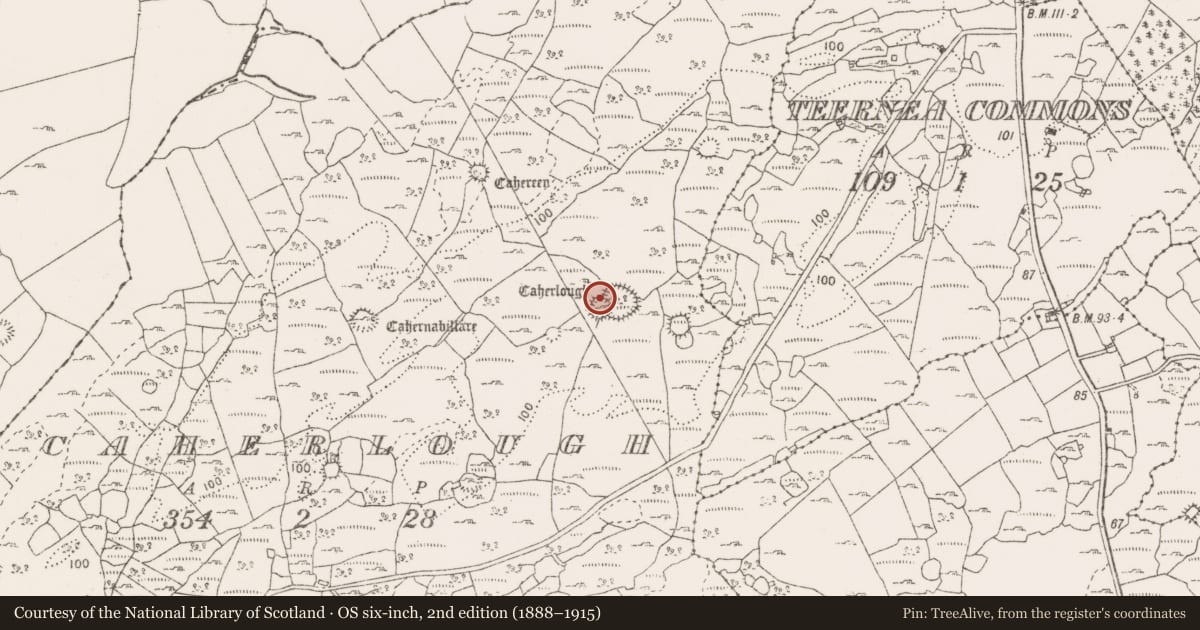 Ordnance Survey six-inch map, 2nd edition (1888–1915) covering the location of Ringfort - cashel, Caherlough, County Clare, with a pin at the register's coordinates