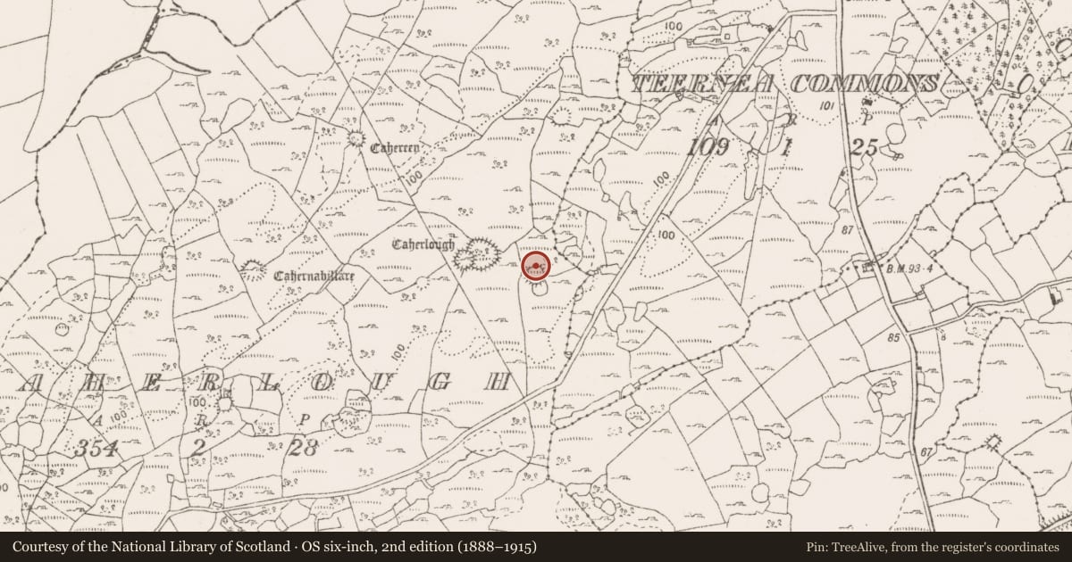 Ordnance Survey six-inch map, 2nd edition (1888–1915) covering the location of Ringfort - cashel, Caherlough, County Clare, with a pin at the register's coordinates