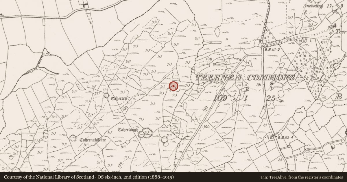 Ordnance Survey six-inch map, 2nd edition (1888–1915) covering the location of Ringfort - cashel, Caherlough, County Clare, with a pin at the register's coordinates