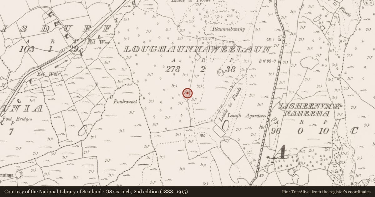 Ordnance Survey six-inch map, 2nd edition (1888–1915) covering the location of Enclosure, Loughaunnaweelaun, County Clare, with a pin at the register's coordinates