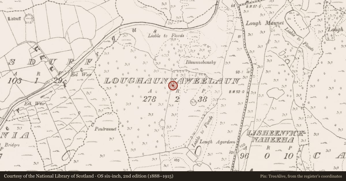 Ordnance Survey six-inch map, 2nd edition (1888–1915) covering the location of Enclosure, Loughaunnaweelaun, County Clare, with a pin at the register's coordinates