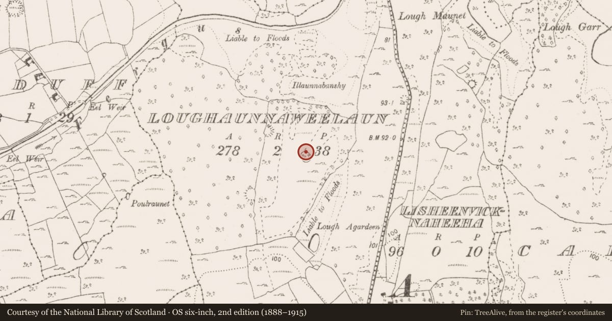 Ordnance Survey six-inch map, 2nd edition (1888–1915) covering the location of Enclosure, Loughaunnaweelaun, County Clare, with a pin at the register's coordinates